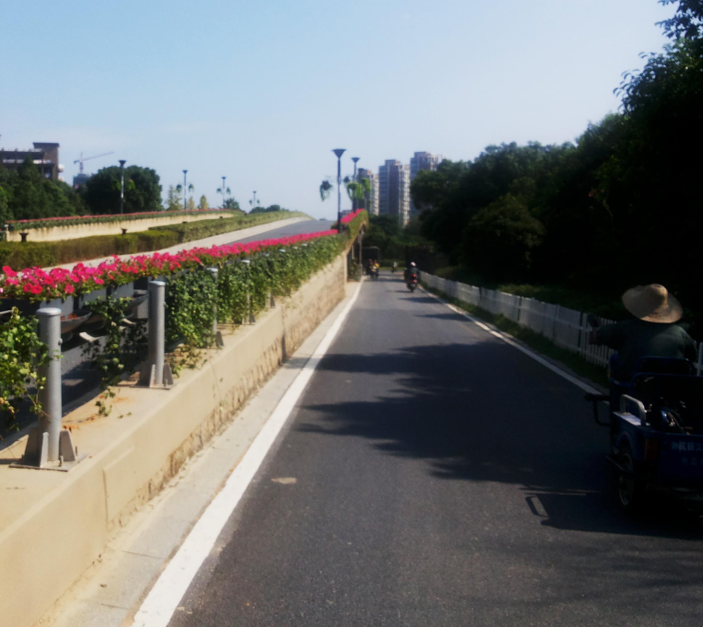 杭州西溪山庄护栏绿化项目(图2)