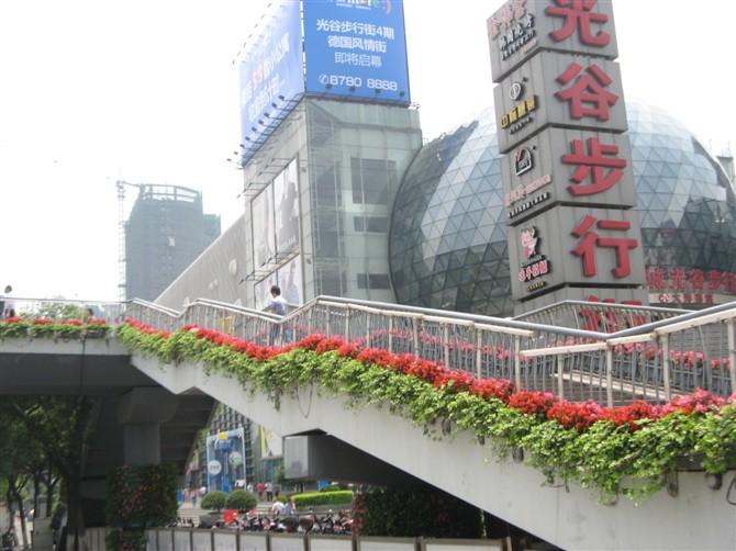 武汉天桥护栏绿化项目(图1)