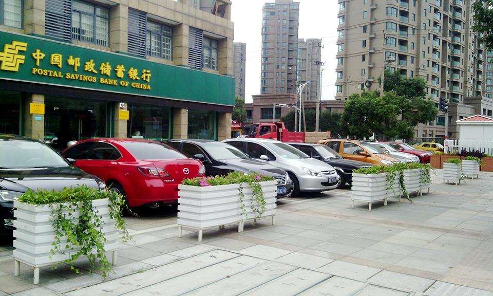 宁波北仑区隔离绿化项目(图1)