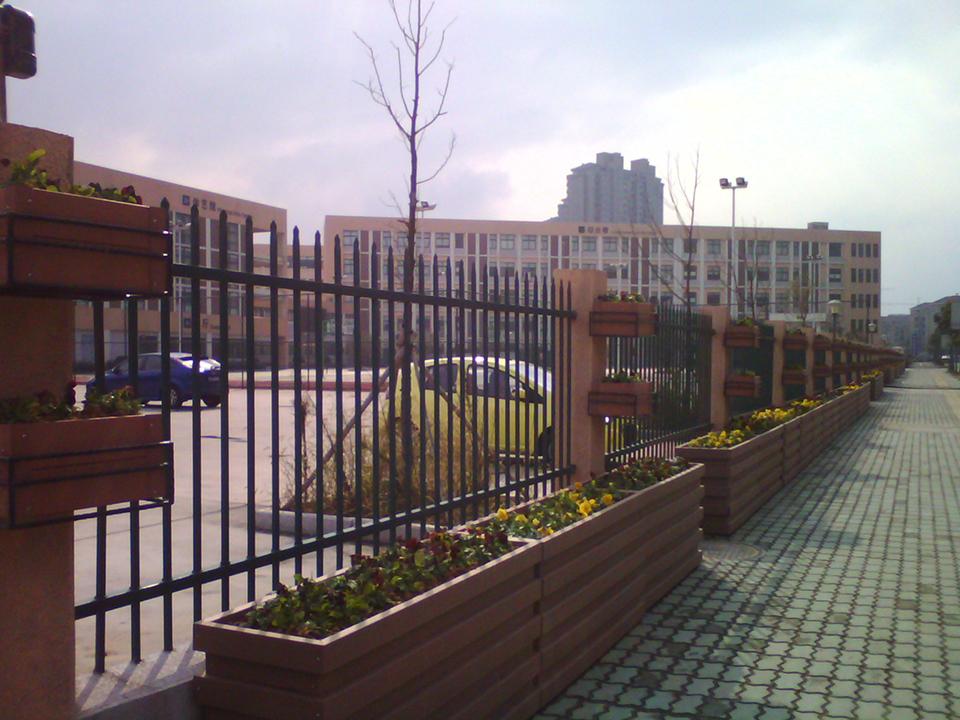 宁波北仑区隔离绿化项目(图7)
