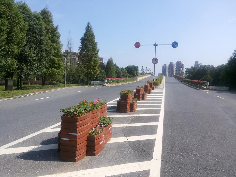 杭州西溪山庄道路隔离绿化项目(图1)