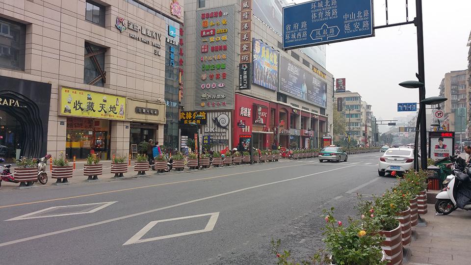 杭州武林路道路隔离绿化(图3)