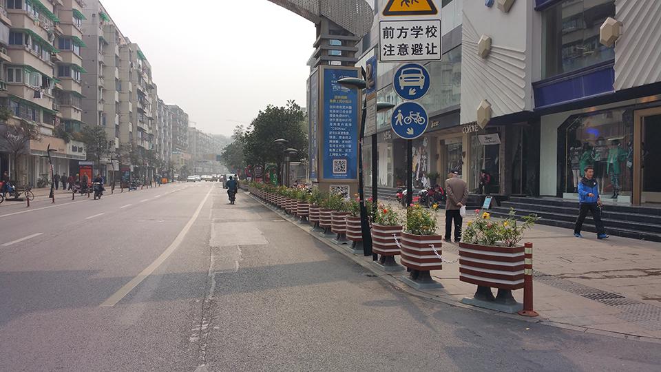 杭州武林路道路隔离绿化(图8)