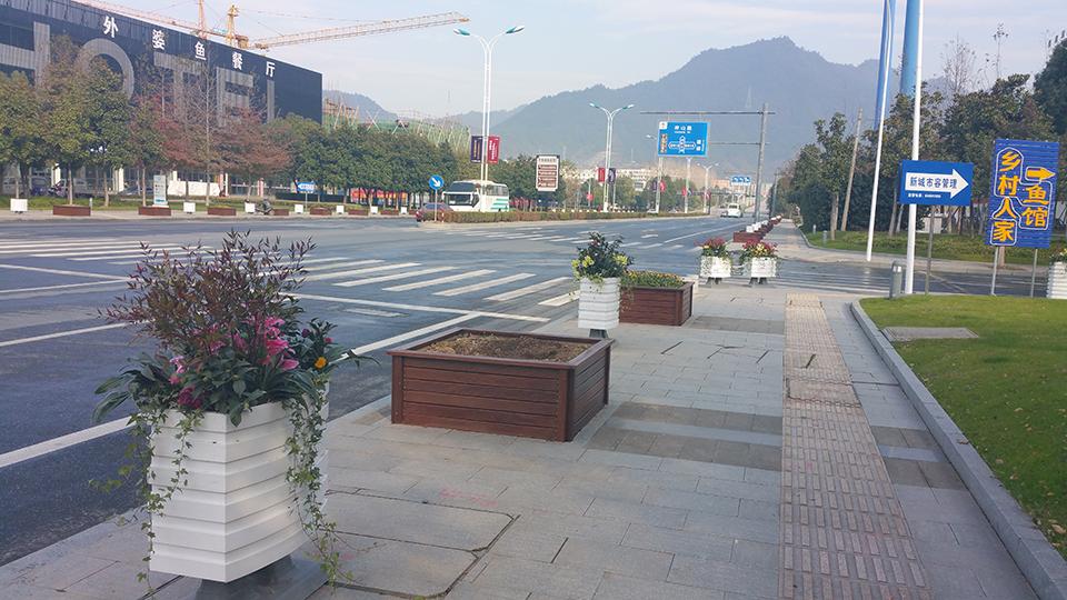 杭州千岛湖道路隔离绿化(图4)