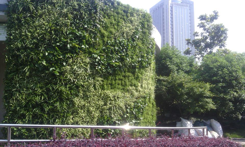 杭州城东公园公共厕所绿化(图2)