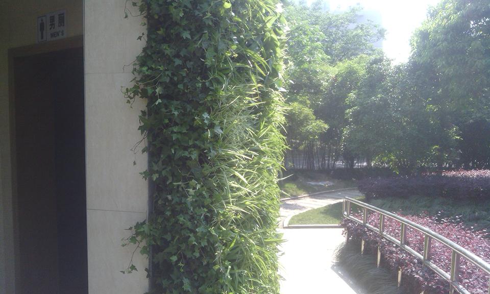 杭州城东公园公共厕所绿化(图5)