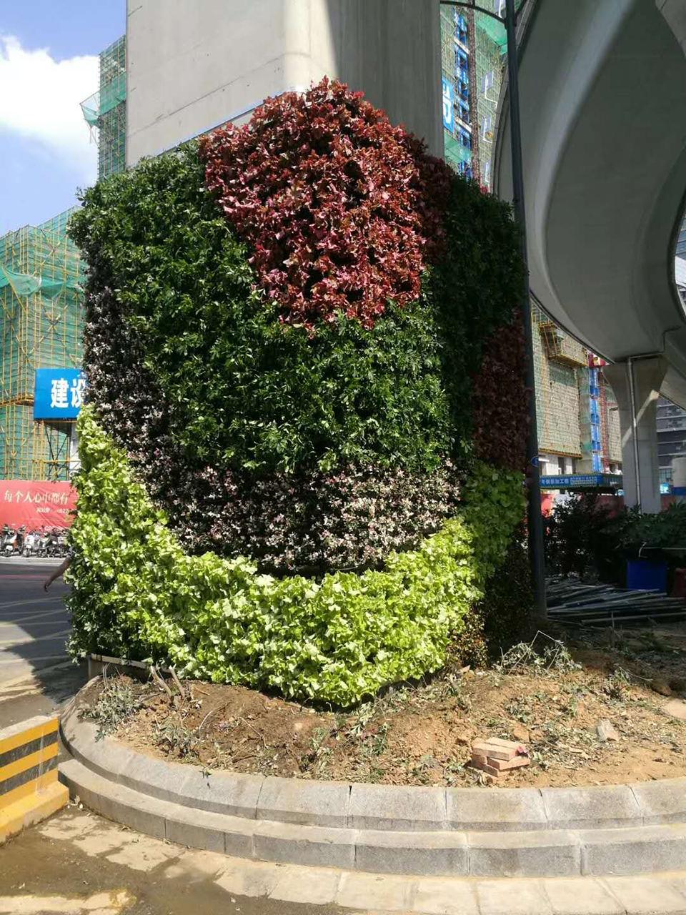 其他植物墙项目(图4)