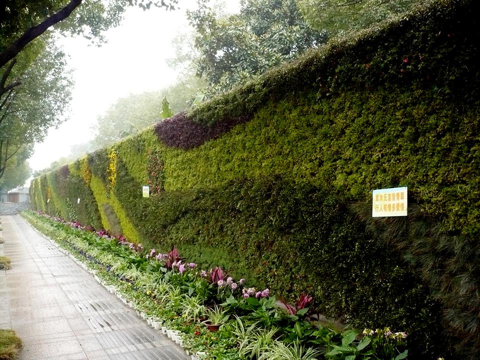 宁波江东区植物墙(图1)