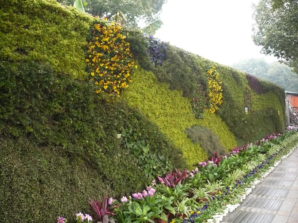宁波江东区植物墙(图5)