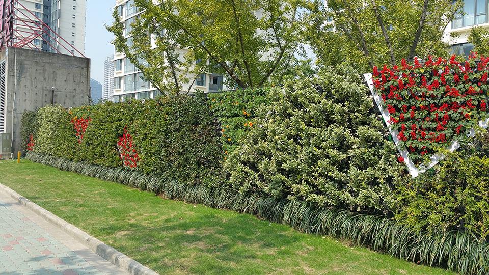 宁波高新区植物墙(图2)