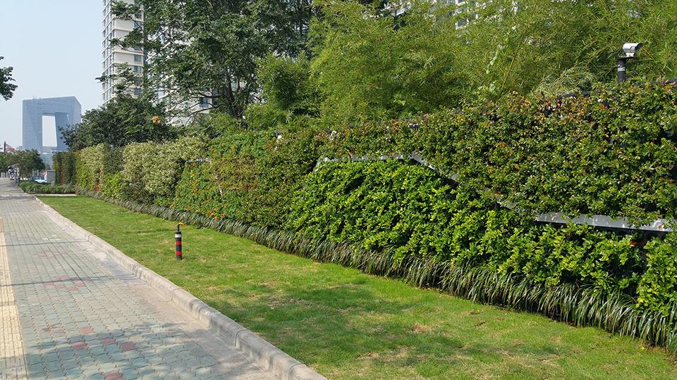 宁波高新区植物墙(图3)