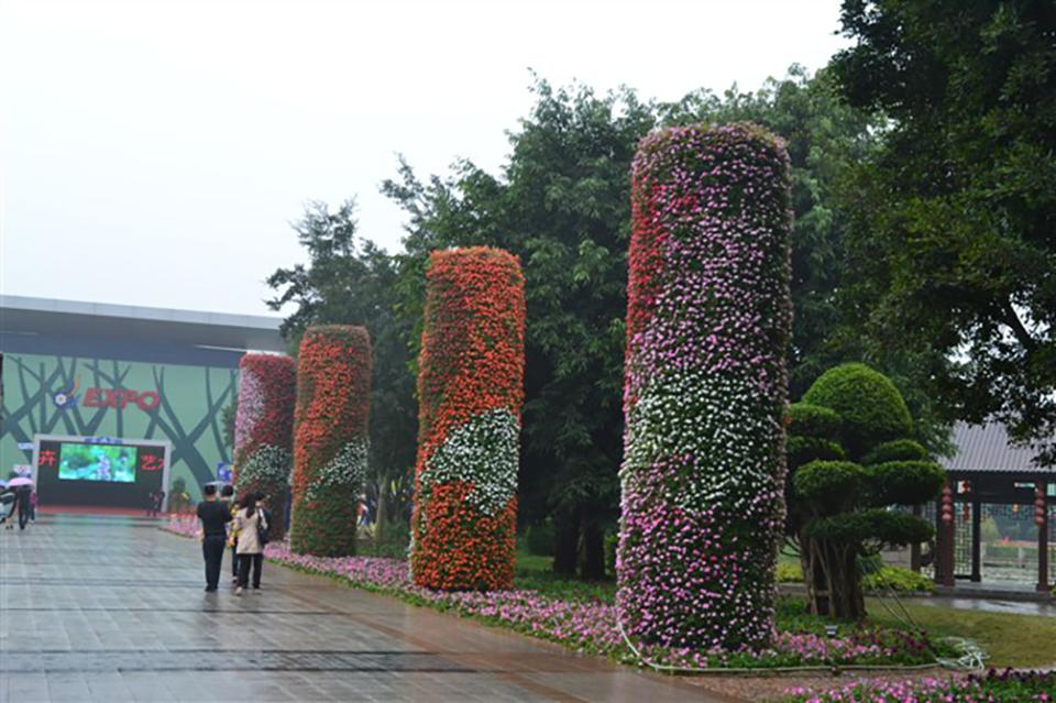 福建绿化项目(图6)