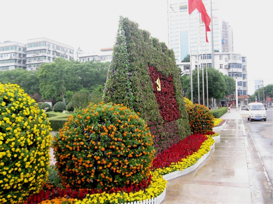 武汉绿化项目(图2)