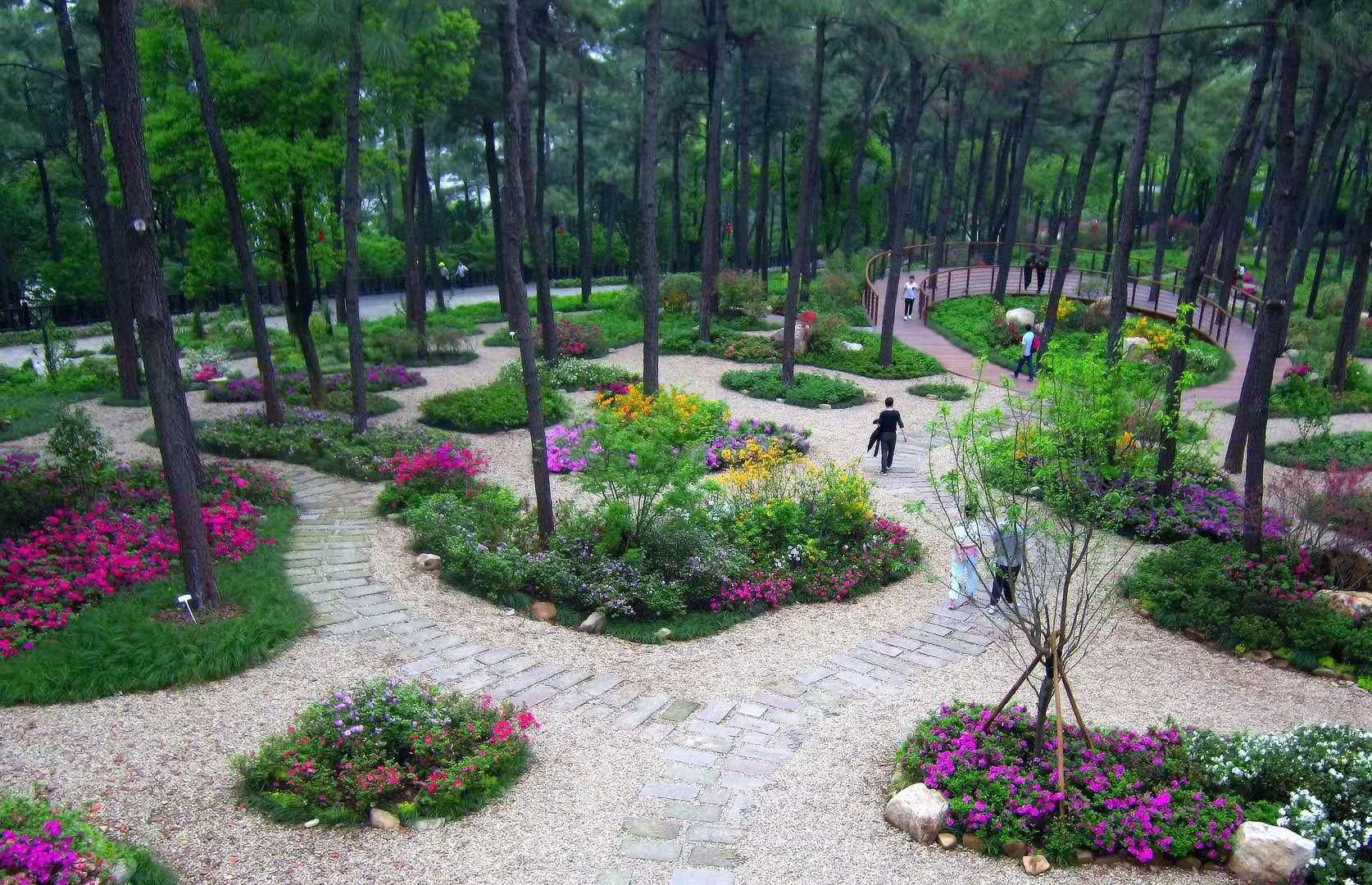 花境(图1)