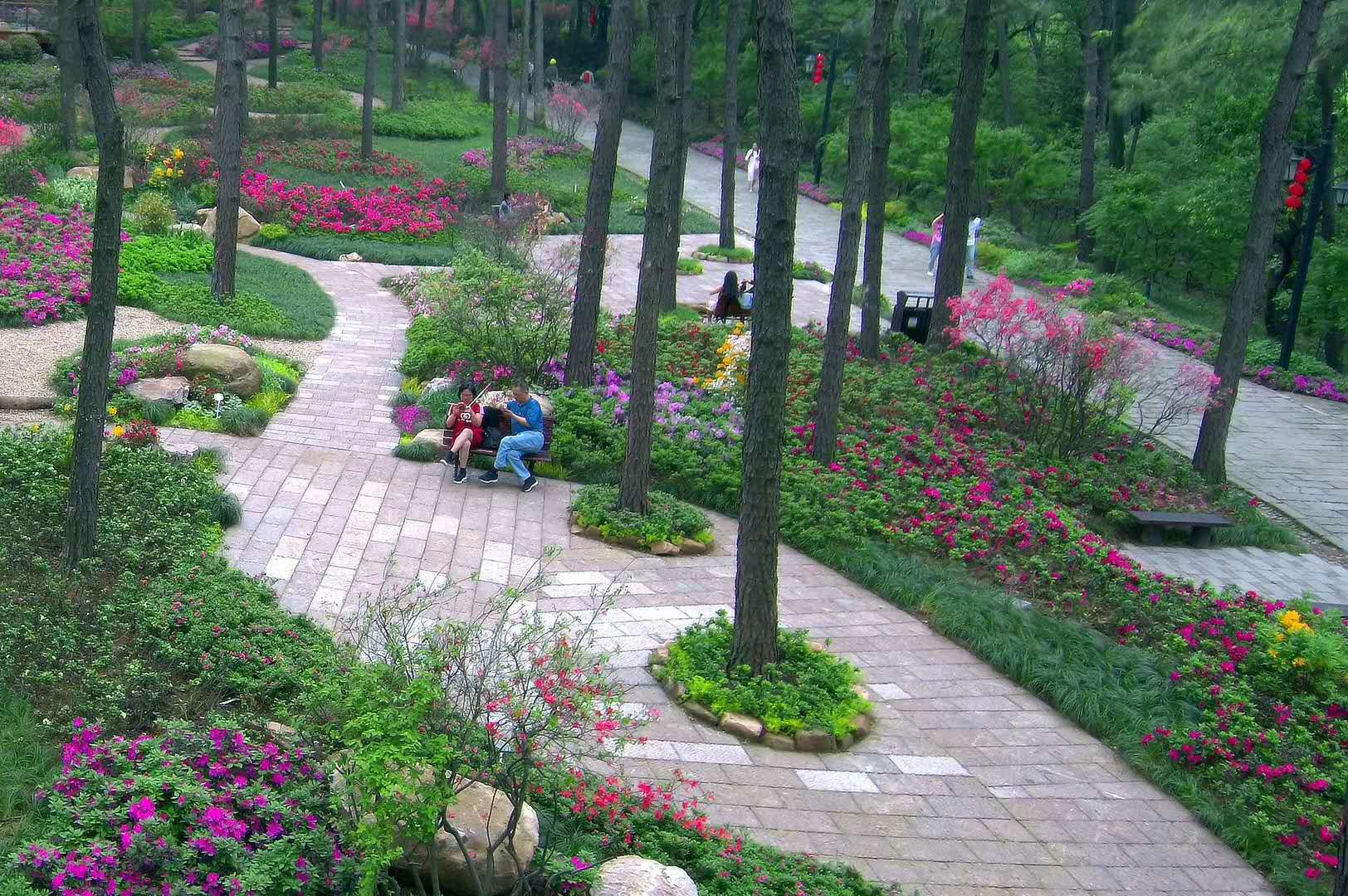 花境(图3)