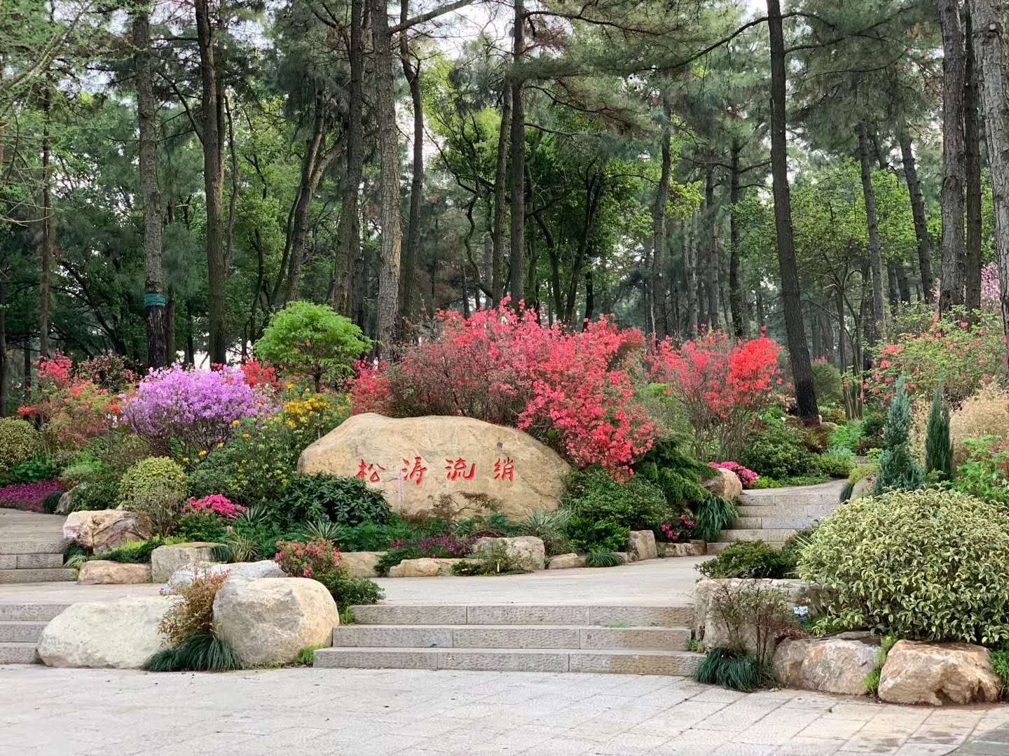 花境(图4)