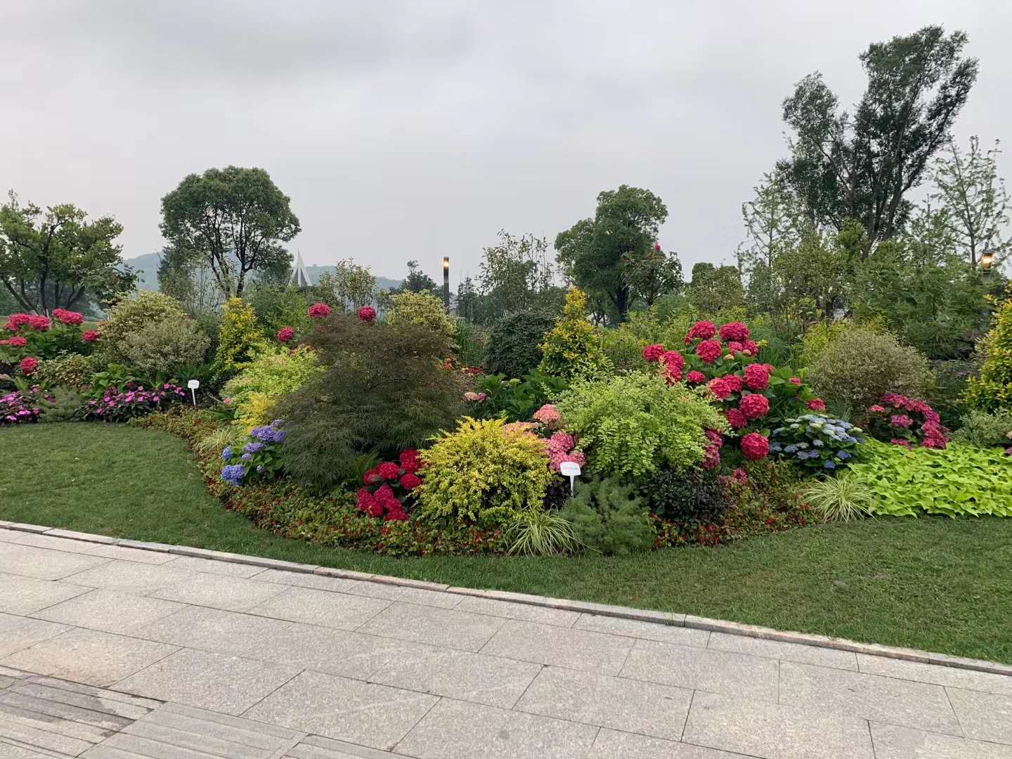 花境(图8)