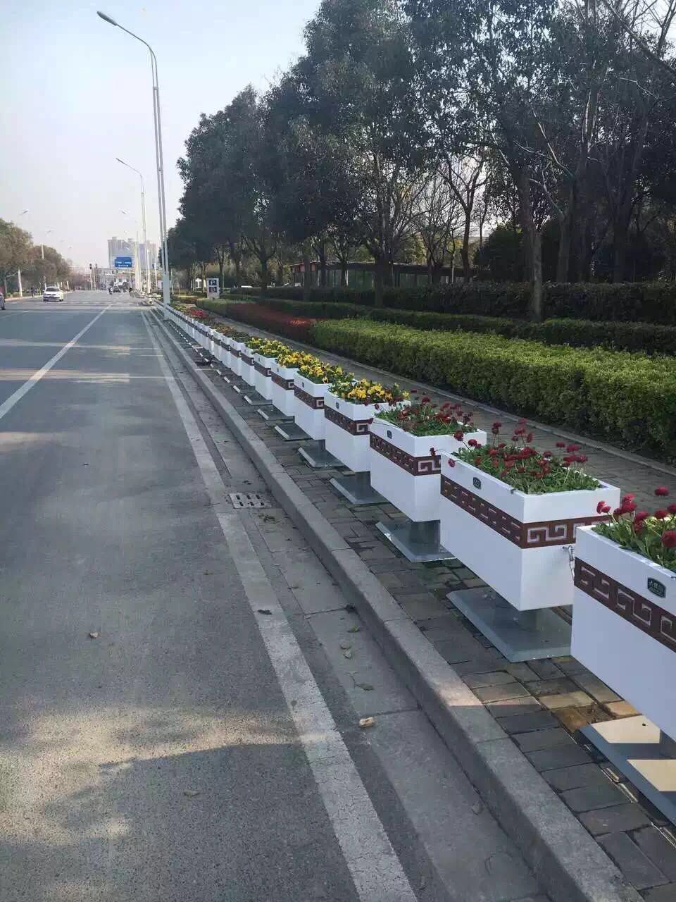 花城——让鲜花扮靓省会(图25)