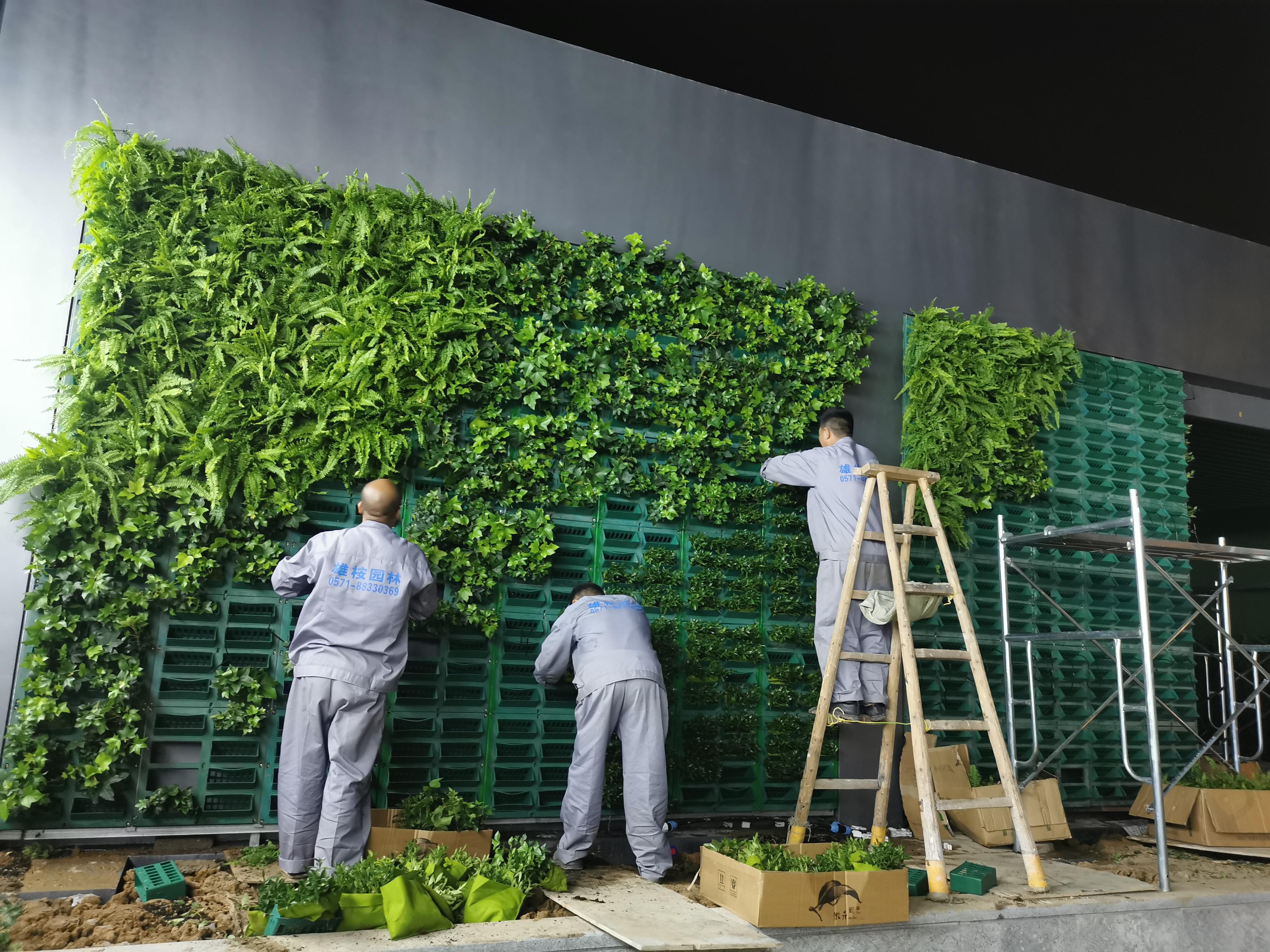 保亿植物垂直绿化墙(图4)