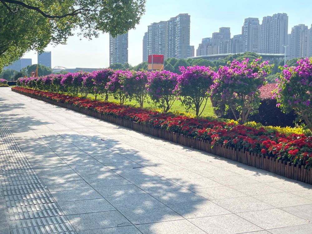 浙江海宁政府市政道路景观提升项目(图1)
