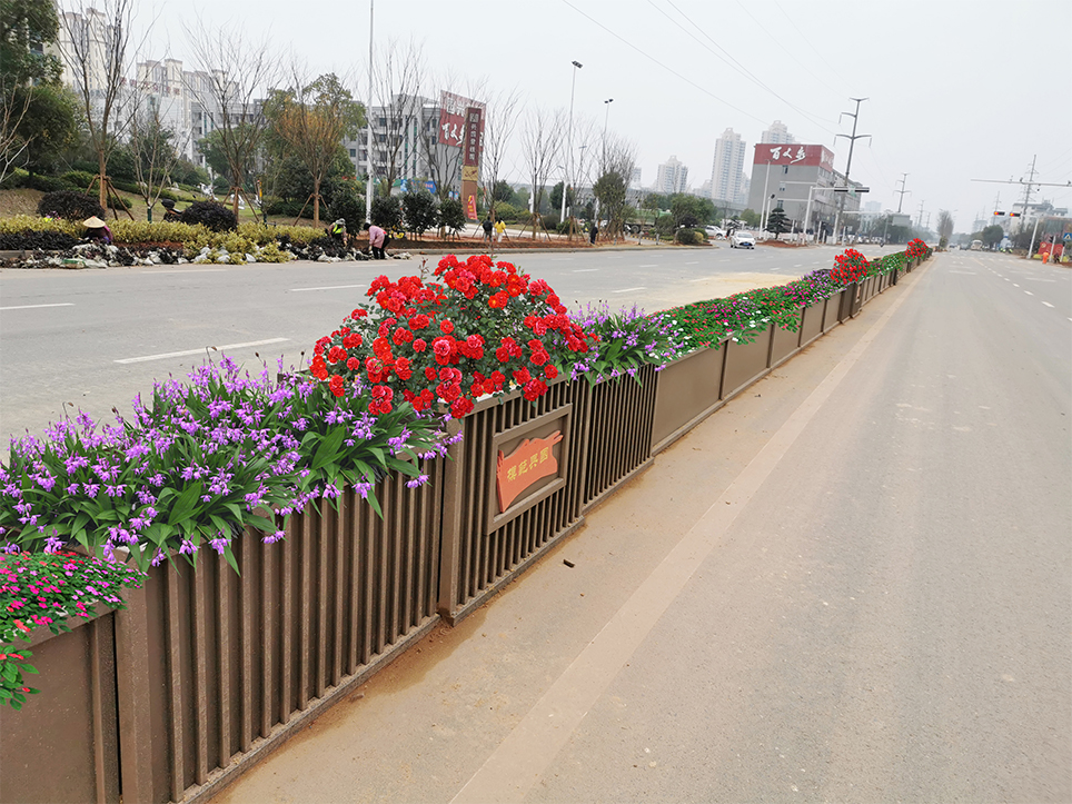 江西兴国模范大道花箱隔离绿化景观提升项目(图1)