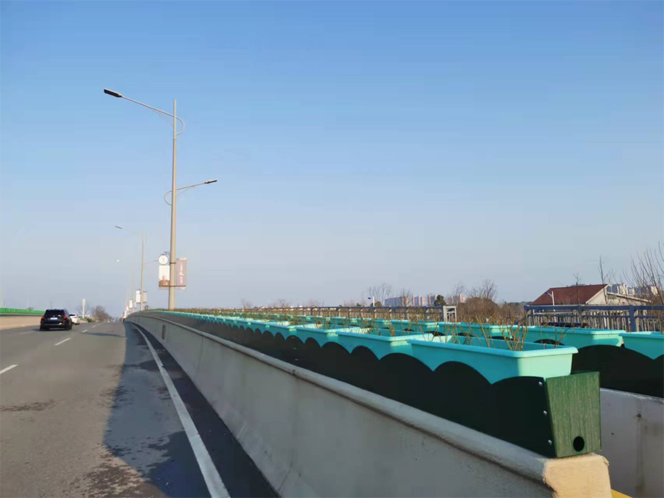 衢州高架桥绿化项目(图1)