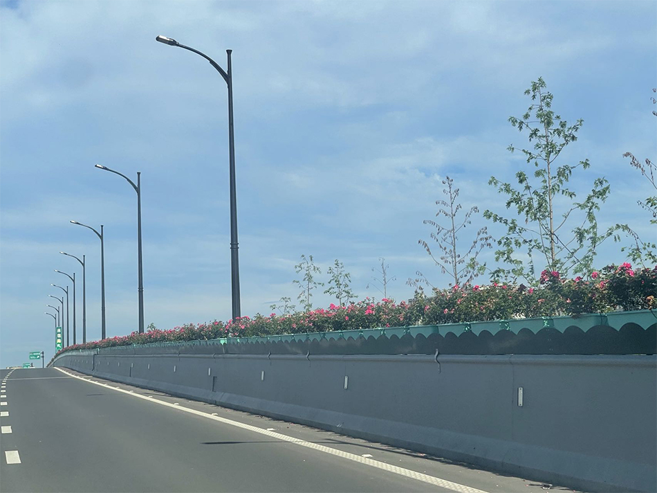 杭州三墩高架桥绿化项目(图2)
