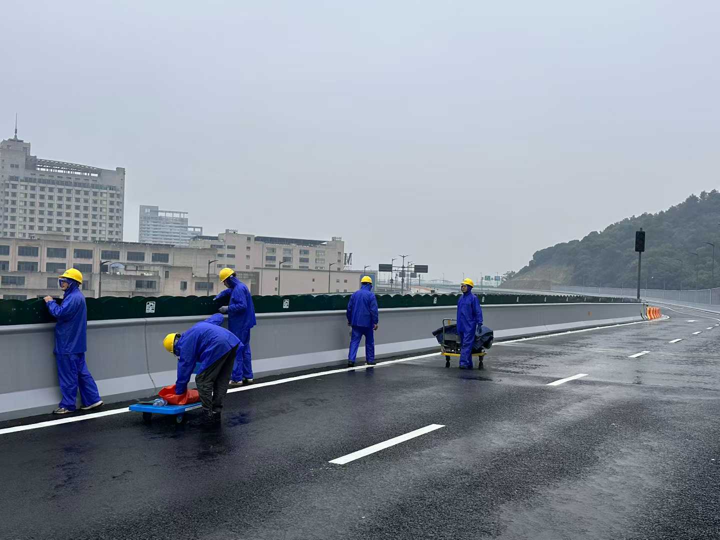 余姚梁周线高架绿化项目(图3)