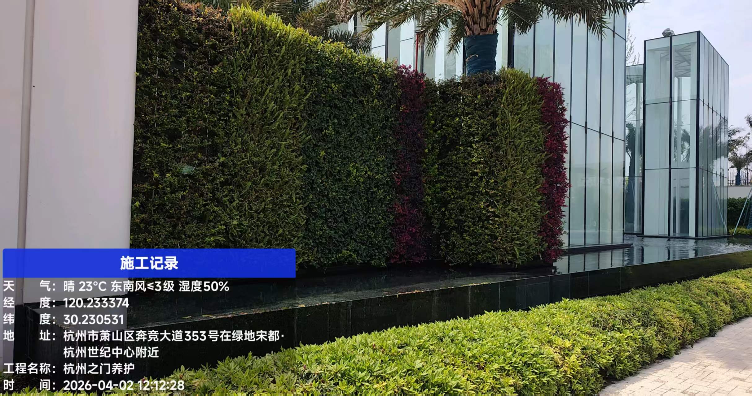杭州世纪中心—杭州之门 华尔道夫酒店垂直绿化项目(图3)