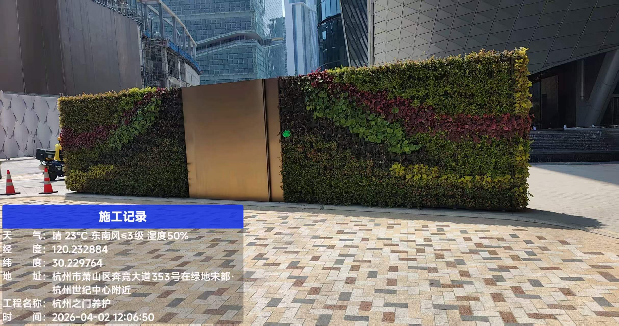 杭州世纪中心—杭州之门 华尔道夫酒店垂直绿化项目(图5)