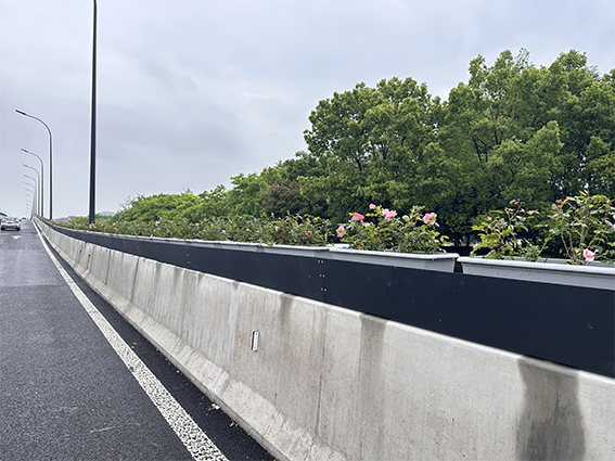 临海市城市快速路（南区段)高架桥绿化(图2)